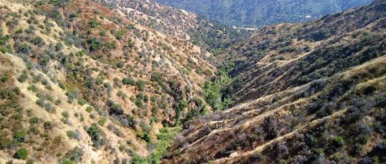 Shackled | movie | 2021 | Official Trailer