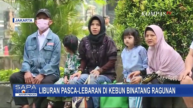 Capai Rekor Pengunjung Tertinggi, Lebih dari 80 Ribu Orang Libur Lebaran di Kebun Binatang Ragunan!