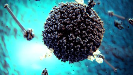 Our Secret Universe The Hidden Life Of The Cell