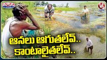 One Side Continuous Rain Other Side Crop Damage, Farmers Facing Huge Loss _ V6 Teenmaar (1)