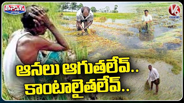 One Side Continuous Rain Other Side Crop Damage, Farmers Facing Huge Loss _ V6 Teenmaar (1)