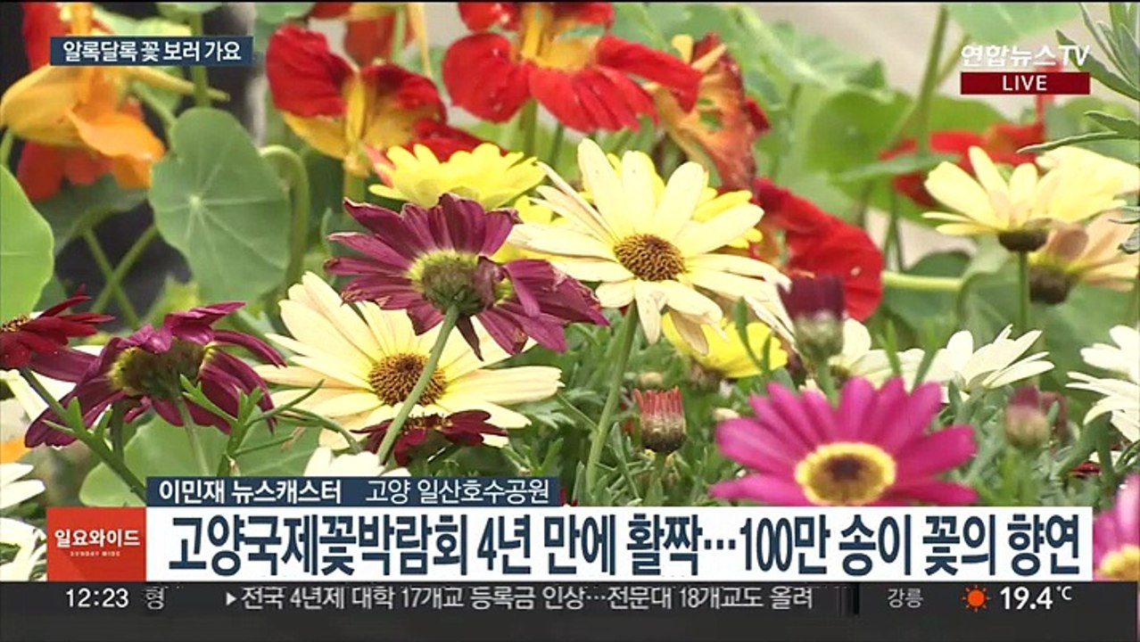 찬란한 꽃들의 향연…4년 만에 열린 고양국제꽃박람회