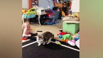Short video cuties babies\sajokes ,funny cats