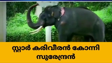 അരി കൊമ്പൻ ദൗത്യത്തിൽ സൂപ്പർ സ്റ്റാറായി കോന്നി സുരേന്ദ്രൻ