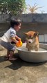 Baby Giving Bath To The Dog | Babies Funny Moments | Cute Babies | Naughty Babies | Funny Babies