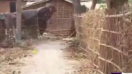 सुपौल: निजी जमीन पर बनी सरकारी सड़क, जमीन मालिक ने रास्ता किया बंद, आवागमन बाधित