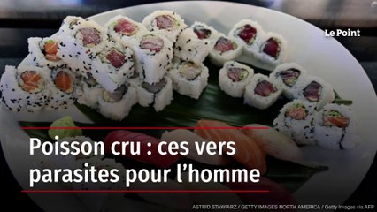 Poisson cru : ces vers parasites pour l’homme