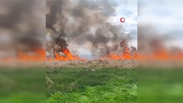 Van Gölü kıyısındaki sazlık alanda çıkan yangın büyümeden söndürüldü