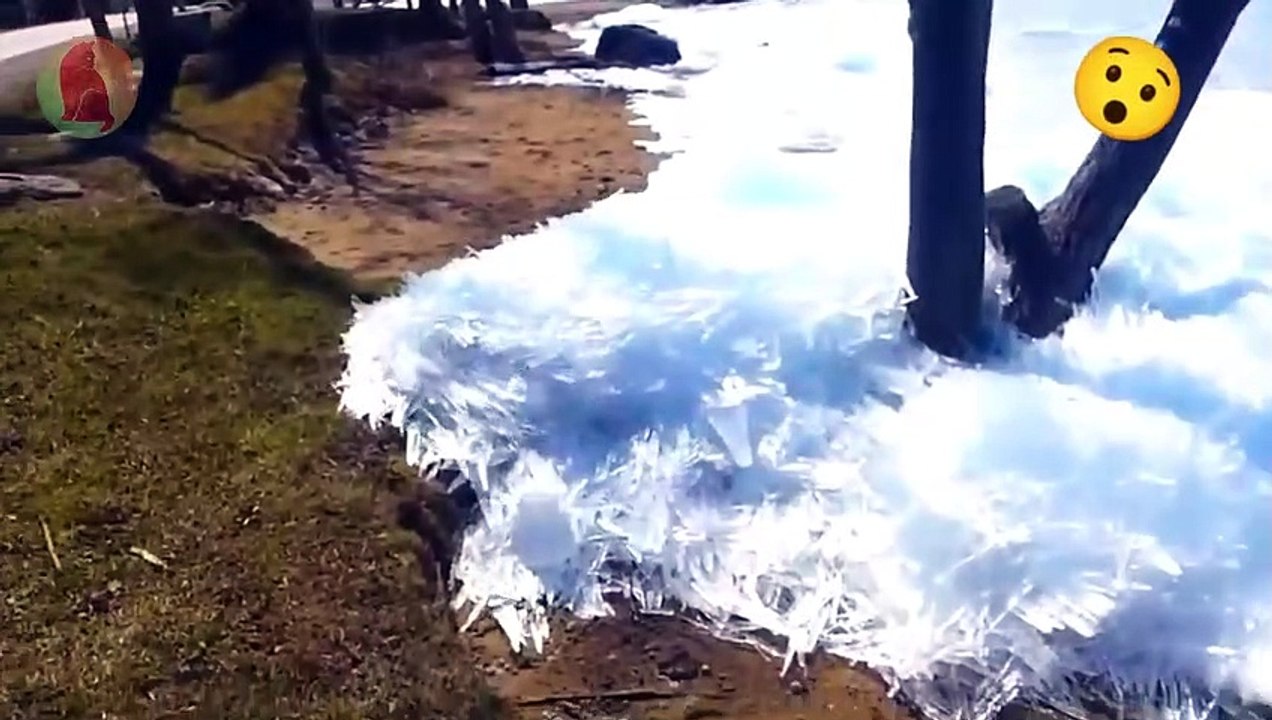 Amazing Nature Ice Crystal Flood