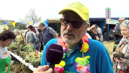 La bourse aux plantes à Martigues en pleine effervescence