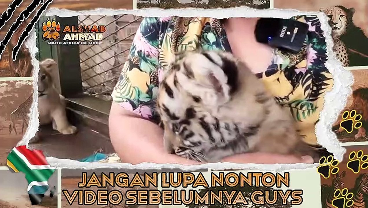 PETUALANGAN SESUNGGUHNYA BARU KITA MULAI SEKARANG !!