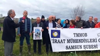 Bafralı Çiftçiler, Samsun Büyükşehir Belediyesi'nin Hal Porjesine Tepki Gösterdi: "Bu Bölge, Sit Alanında Olup, Dere Yatağı Niteliğindedir.