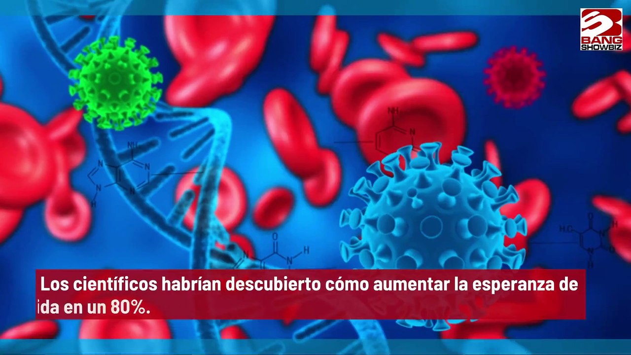Científicos descubren cómo aumentar la esperanza de vida en un 80%