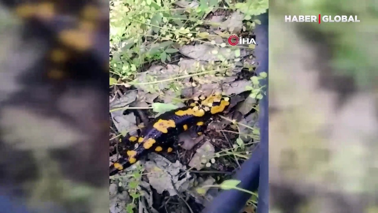 Kız çocuğu bahçesinde oynarken bir anda, Anadol...