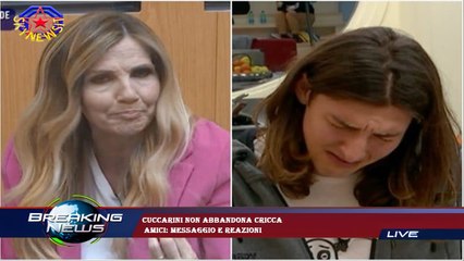 Cuccarini non abbandona Cricca  Amici: messaggio e reazioni