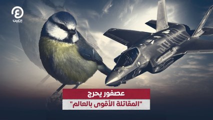 "عصفور يحرج "المقاتلة الأقوى في العالم
