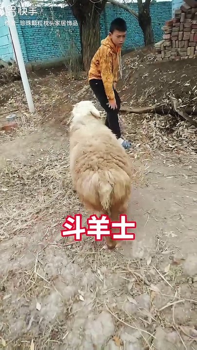 Best funny videos | funny video 2023