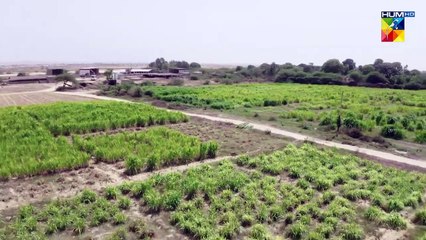 Makkar Aur Ghatiya Aurat...!!  #alizehshah #azfarrehman - Jabar - FLO Digital