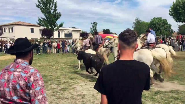 Redessan : Feria du muguet, abrivado de la manade Arlatenco