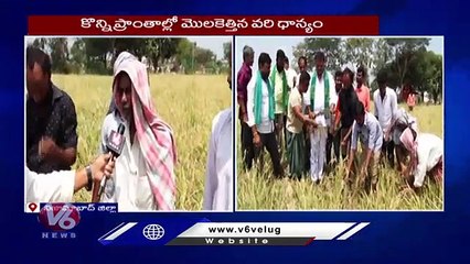 Unseasonal Rain Creates Huge Crop Damage In Nizamabad Dist | V6 News