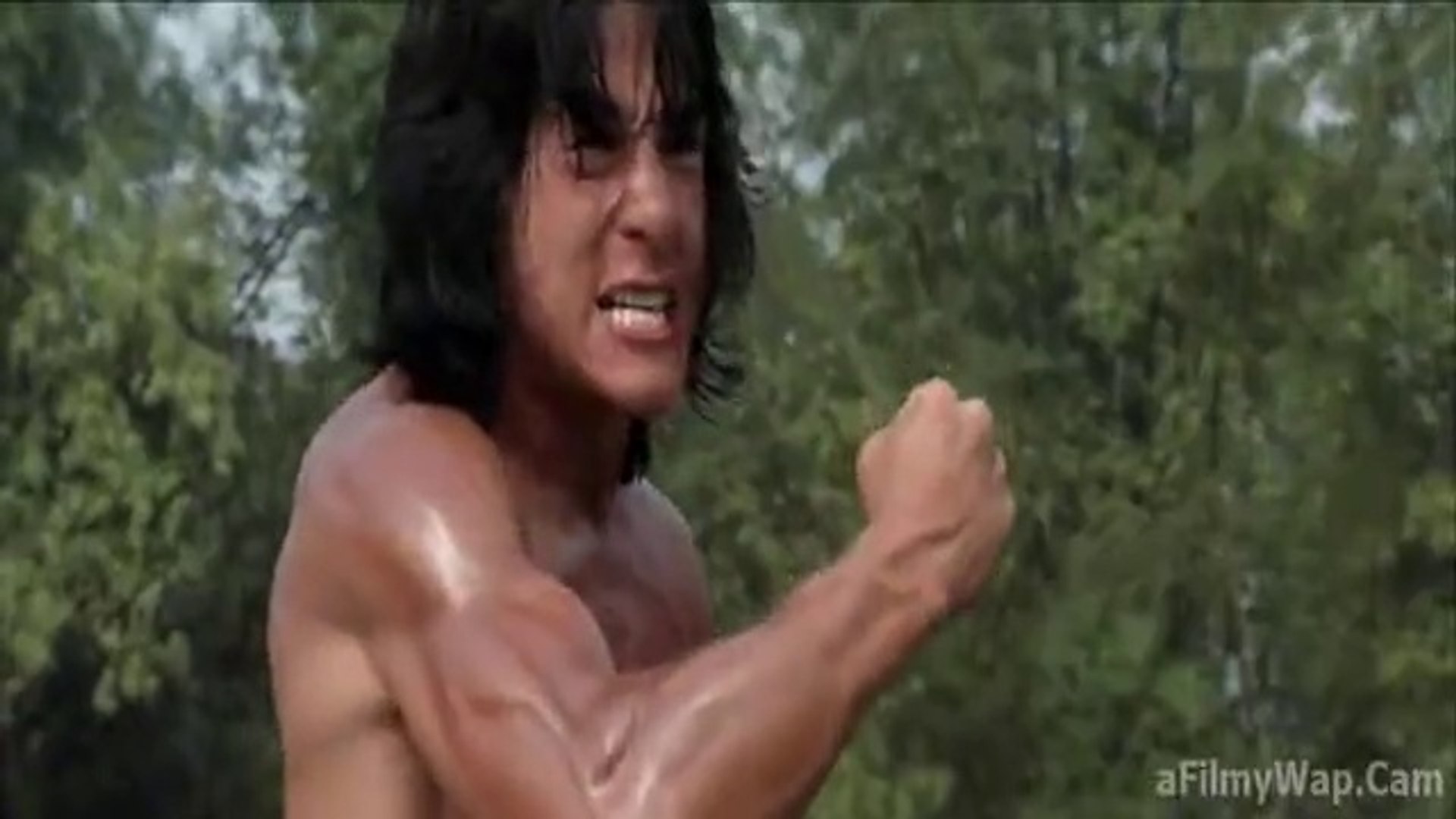 Jackie Chan Fearless hyena (1979) Action|Adventure | Comedy