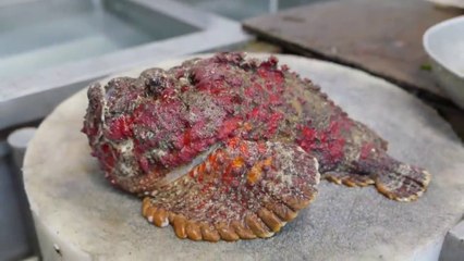 STONEFISH - Most Poisonous Fish In The World Cooked 2 Ways!