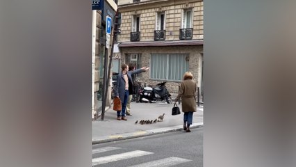 Ces canards aidés par une parisienne ont fait fondre des millions de personnes