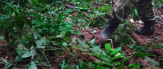 Special Mercenary ☝  ØĮＥ  ♙