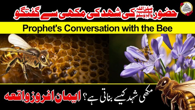 Prophet Muhammad SAW & a Hony Bee I Makhi Ki Kahani I حضرت محمدﷺ اور شہد کی مکھی I HasbiAllah