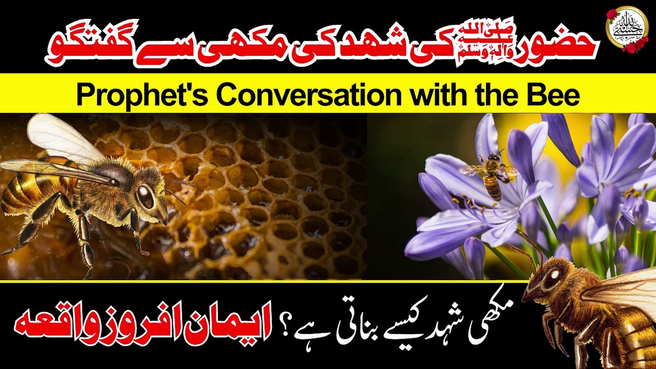 Prophet Muhammad SAW & a Hony Bee I Makhi Ki Kahani I حضرت محمدﷺ  اور شہد  کی مکھی I HasbiAllah