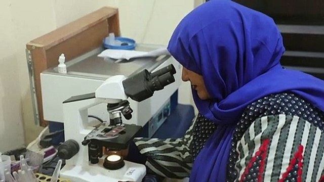 'A huge problem', Sudanese doctor warns of medical shortage as fighting rages