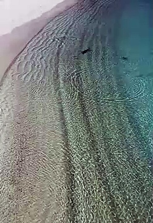 Dramatic encounters in the Maldives! -