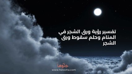 تفسير رؤية ورق الشجر في المنام وحلم سقوط ورق الشجر