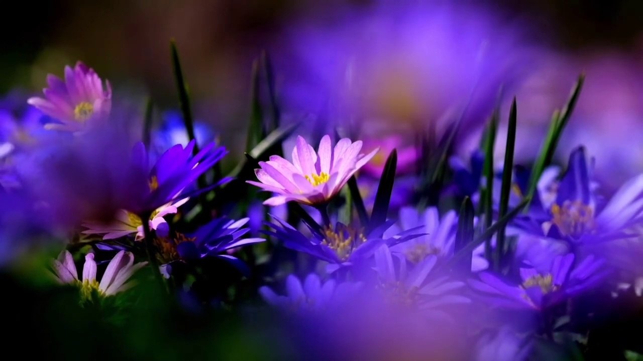 Season of Colors