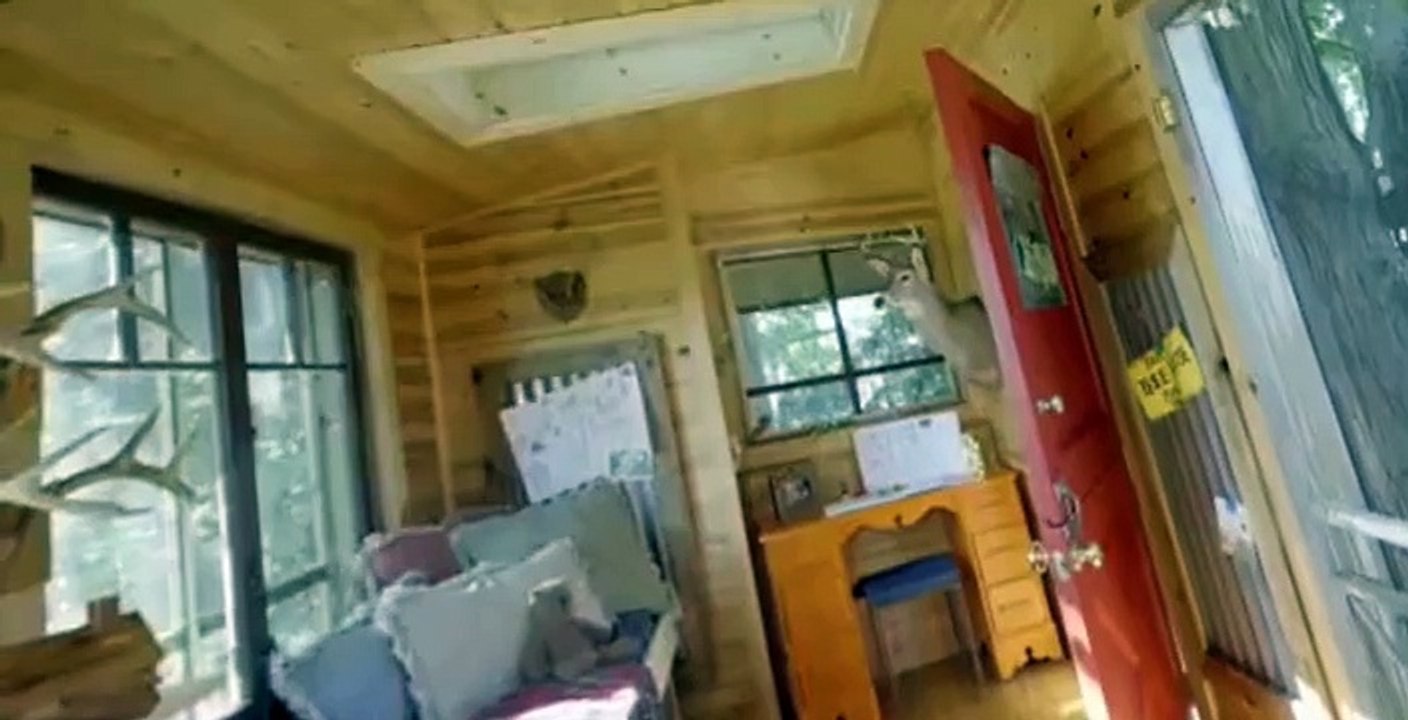 Rehab Addict Lake House Rescue S01 E03