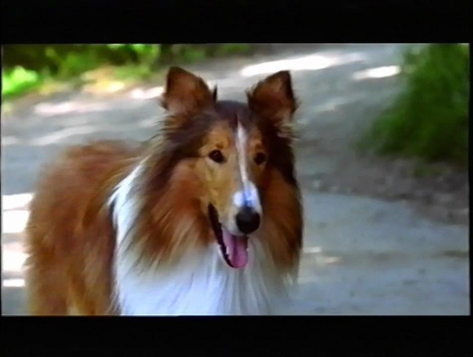Lassie (2005) - Kino najava