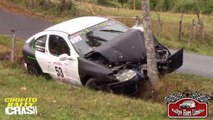 Rally Car vs TreeEpic Fail by Chopito Rally Crash