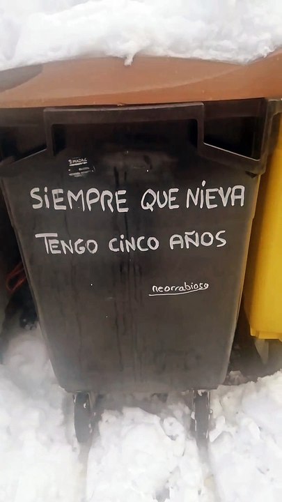 V A N E S S A MARICRÓNICA