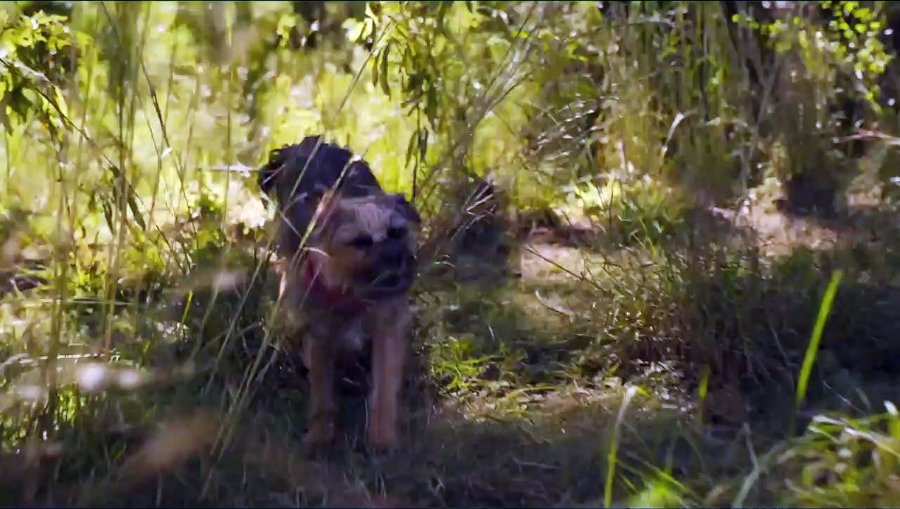 Doggy Style | movie | 2023 | Official Trailer