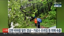 강한 비바람 덮친 경남…가로수 쓰러짐 등 피해 속출