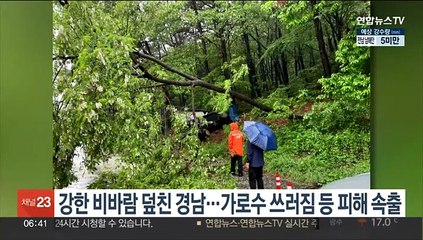 Скачать видео: 강한 비바람 덮친 경남…가로수 쓰러짐 등 피해 속출