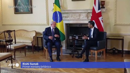 Gran Bretaña promete 100 millones de dólares para Fondo Amazonía en Brasil