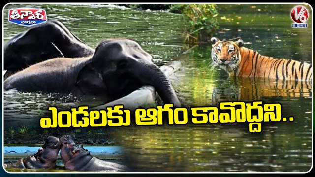 Mumbai Zoo Takes Measures To Protect Animals From Summer Heat _ V6 Weekend Teenmaar
