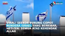 Viral Seekor Burung Copot Bendera Israel yang Berkibar, Netizen: Semua Atas Kehendak Allah