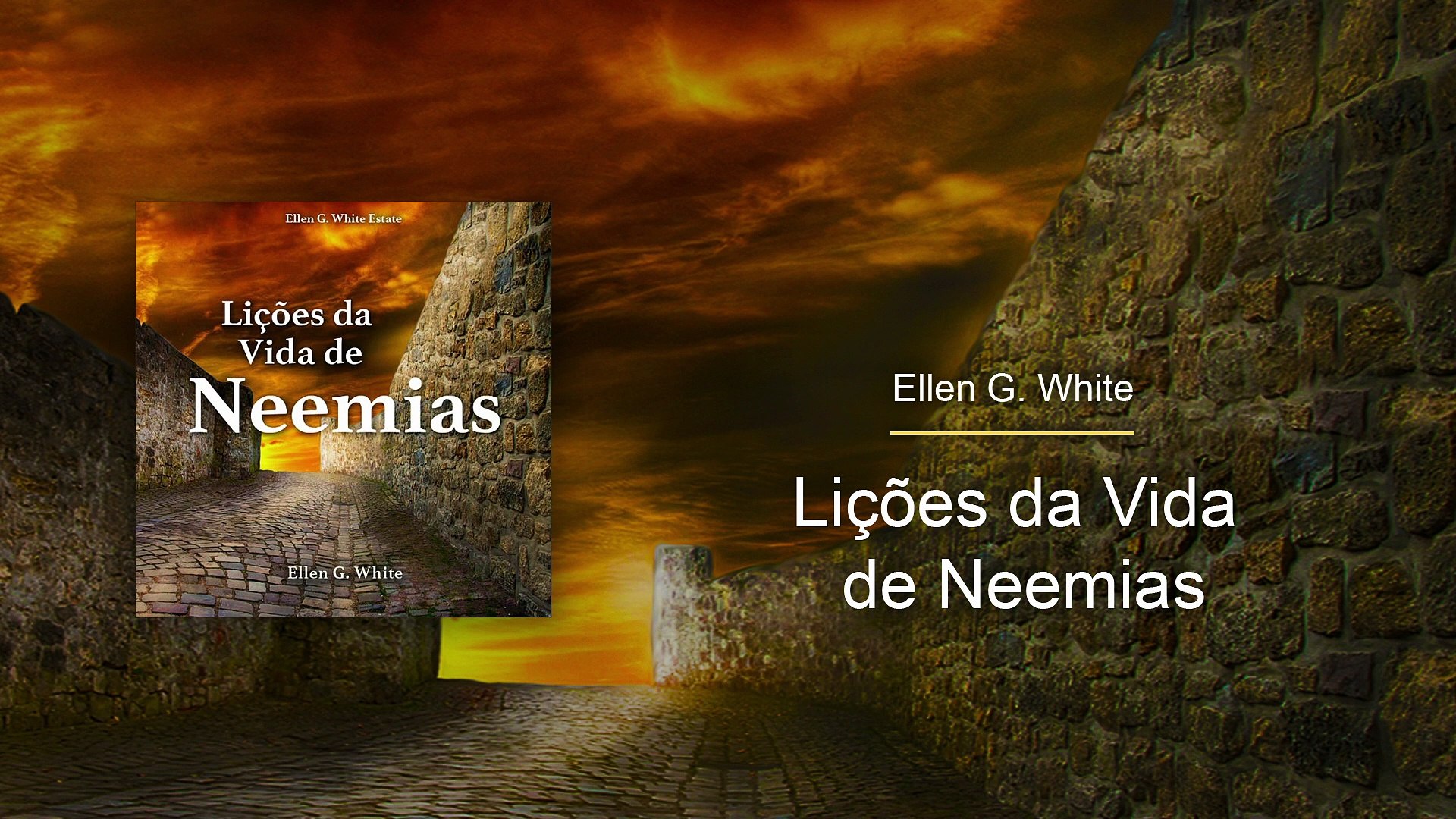 LVN-19 - A necessidade de verdadeiros reformadores