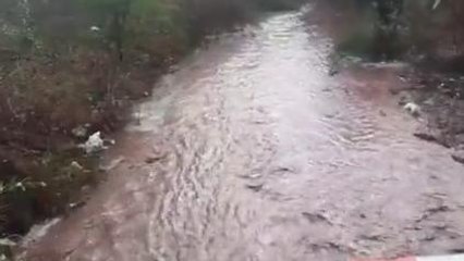 बड़वानी: तेज बारिश के बाद गोई नदी उफान पर, ग्रामीणों का टूटा संपर्क