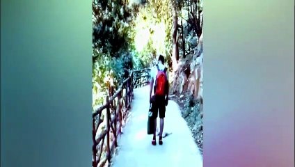 Short video funny cats\sa jokes,funny cats