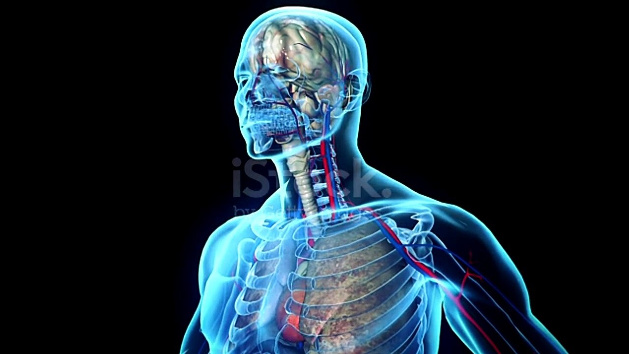 Cilnidipine |Cilacar | ब्लड प्रेशर की   दवाई | Cilaheart 10 | Hypertension | Blood Pressure |