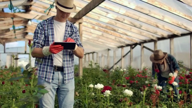 AŞIRI ÖZGÜR AVRUPA ÜLKESİ HOLLANDA'DA YAŞAM! - HOLLANDA NEDEN ÇOK MUTLU - HOLLANDA BELGESELİ