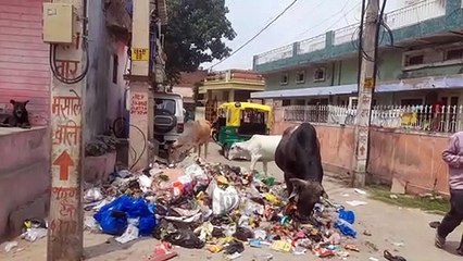 Garbage became a problem